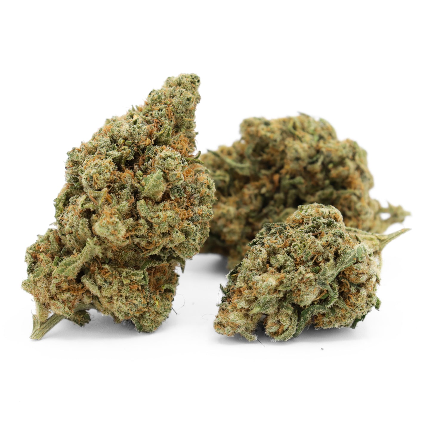 Amnesia Haze Hydro Cannabis Blüten