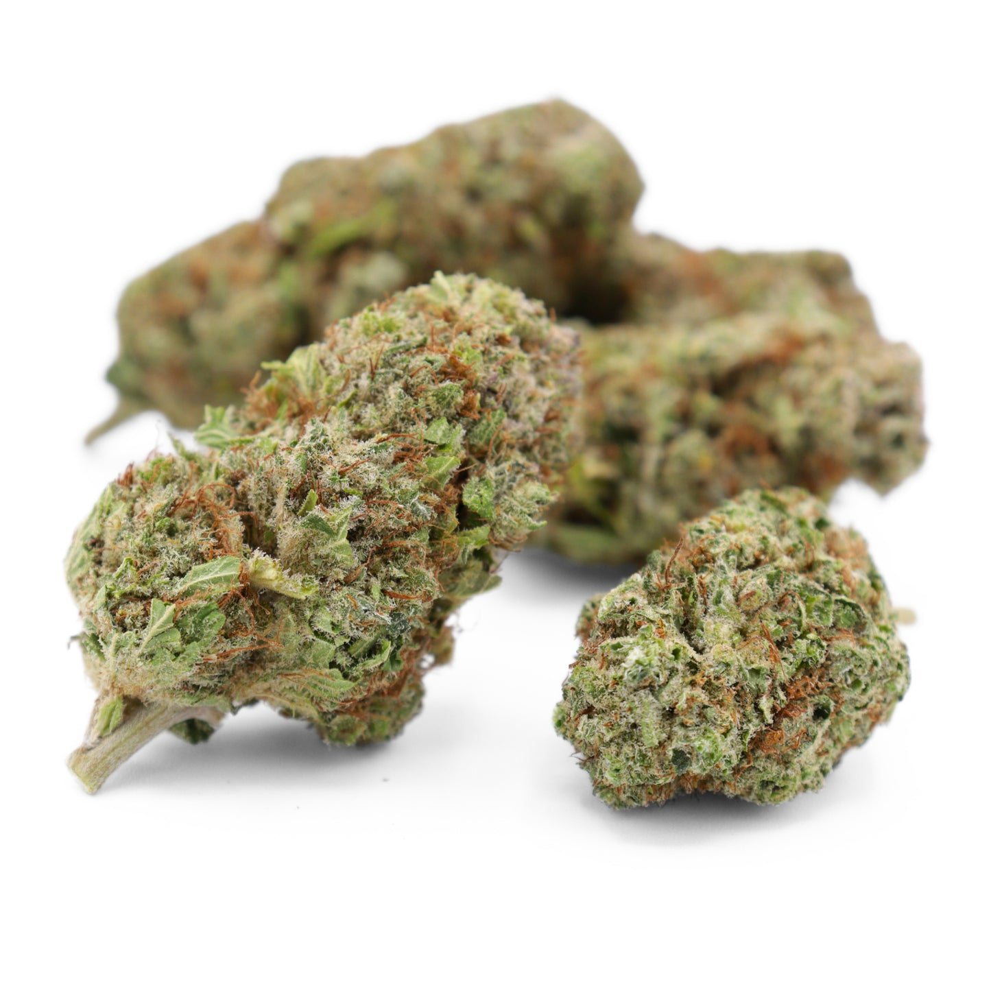 OG Kush Hydro Cannabis Blüten 20% Delta BZ10