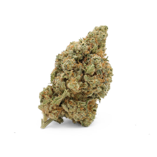 Amnesia Haze Hydro Cannabis Blüten