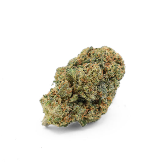 Gorilla Glue Hydro Cannabis Blüten 20% Delta BZ10